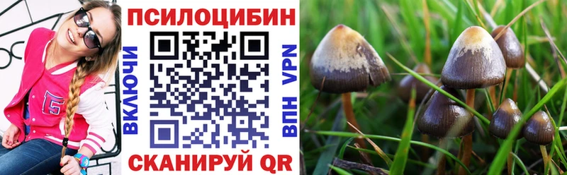 Псилоцибиновые грибы MAGIC MUSHROOMS Звенигород