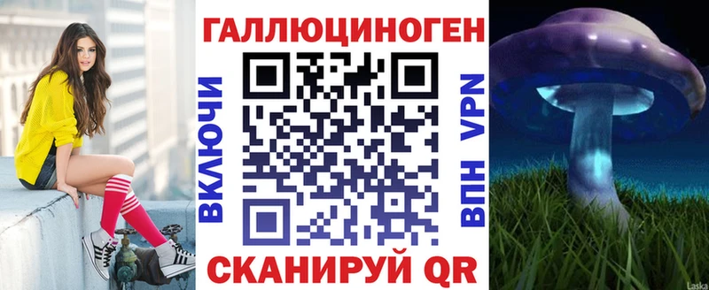 Псилоцибиновые грибы Psilocybe  Звенигород 
